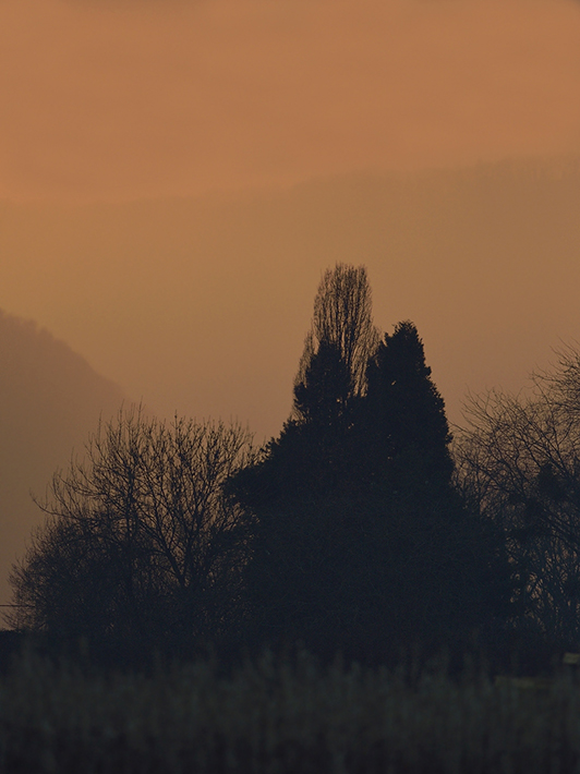 Couchant 