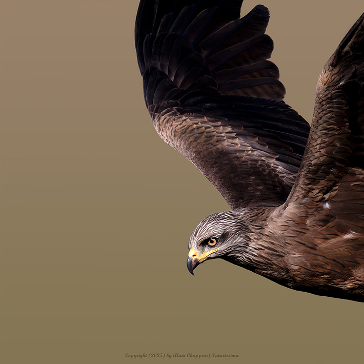 Teppes du Biolay avril 2025